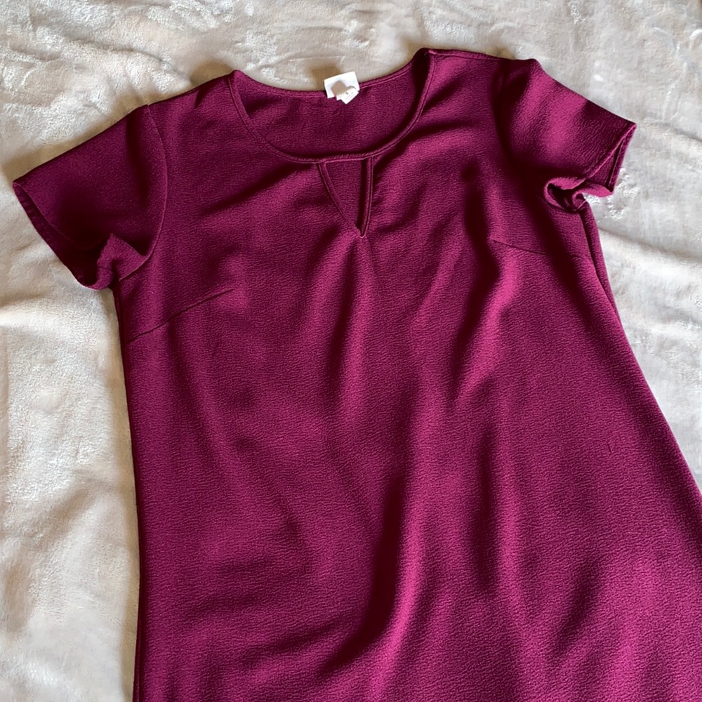 Burgundy short sleeve dress.
